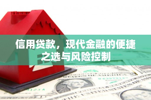 林芝信用贷款，现代金融的便捷之选与风险控制