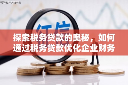 林芝探索税务贷款的奥秘，如何通过税务贷款优化企业财务