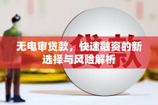 林芝无电审贷款，快速融资的新选择与风险解析