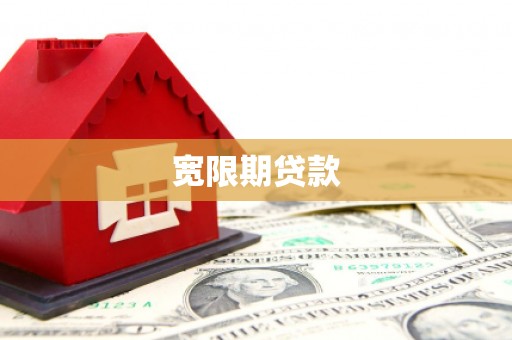 林芝宽限期贷款