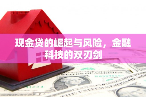 林芝现金贷的崛起与风险，金融科技的双刃剑