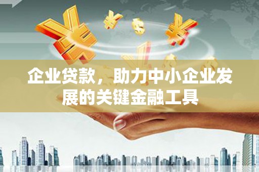 林芝企业贷款，助力中小企业发展的关键金融工具
