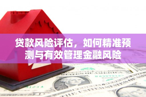 林芝贷款风险评估，如何精准预测与有效管理金融风险