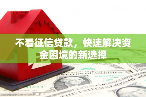 林芝不看征信贷款，快速解决资金困境的新选择