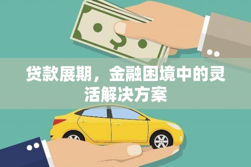 林芝贷款展期，金融困境中的灵活解决方案