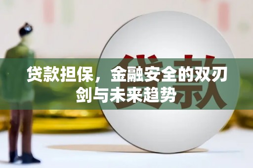 林芝贷款担保，金融安全的双刃剑与未来趋势