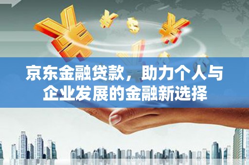林芝京东金融贷款，助力个人与企业发展的金融新选择