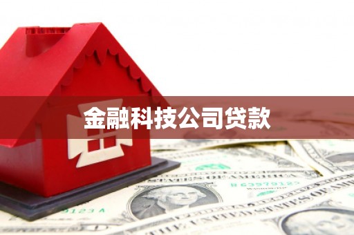 林芝金融科技公司贷款