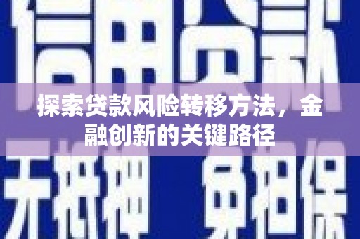 林芝探索贷款风险转移方法，金融创新的关键路径