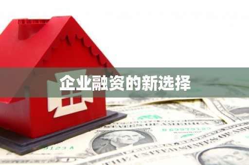 林芝企业融资的新选择