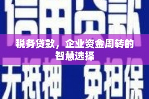 林芝税务贷款，企业资金周转的智慧选择