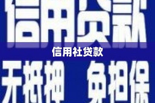 林芝信用社贷款