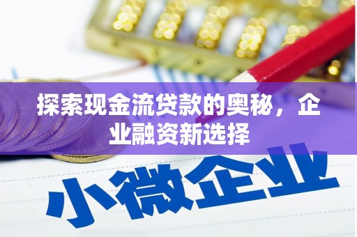 林芝探索现金流贷款的奥秘，企业融资新选择