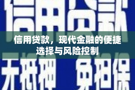 林芝信用贷款，现代金融的便捷选择与风险控制