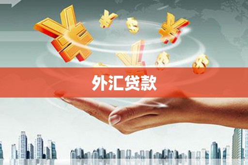 林芝外汇贷款