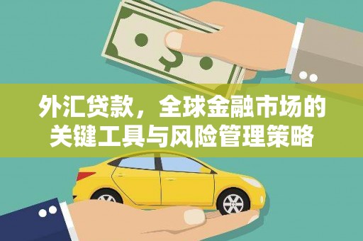 林芝外汇贷款，全球金融市场的关键工具与风险管理策略