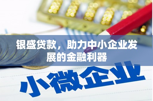 林芝银盛贷款，助力中小企业发展的金融利器