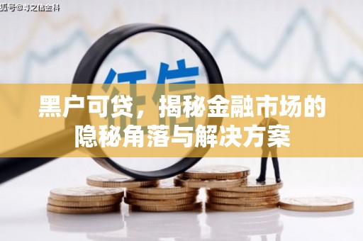 林芝黑户可贷，揭秘金融市场的隐秘角落与解决方案