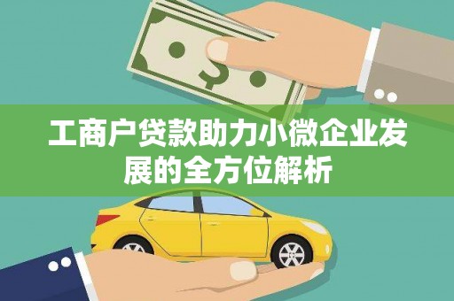 林芝工商户贷款助力小微企业发展的全方位解析