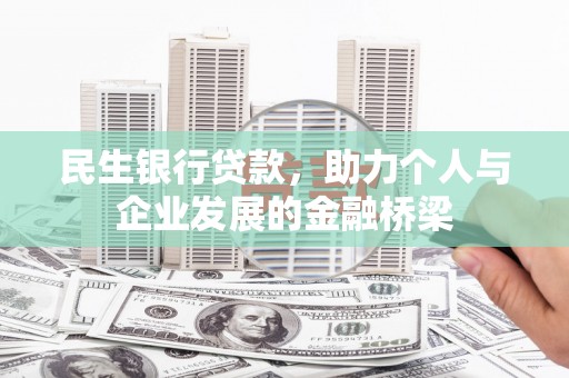 林芝民生银行贷款，助力个人与企业发展的金融桥梁