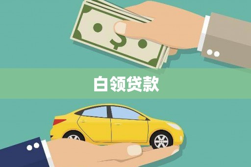 林芝白领贷款
