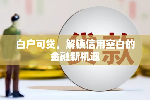 林芝白户可贷，解锁信用空白的金融新机遇
