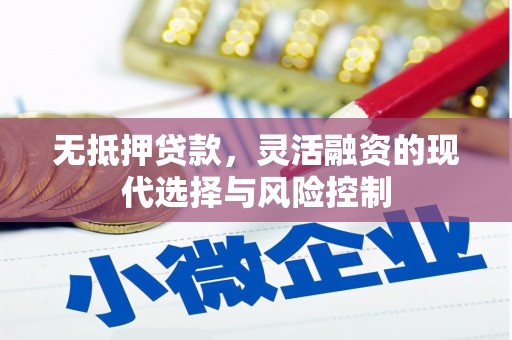 林芝无抵押贷款，灵活融资的现代选择与风险控制