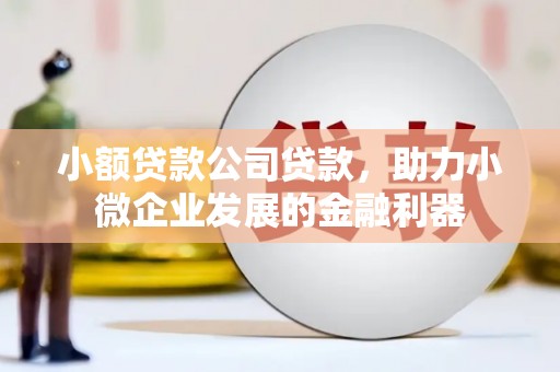 林芝小额贷款公司贷款，助力小微企业发展的金融利器
