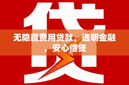 林芝无隐藏费用贷款，透明金融，安心借贷