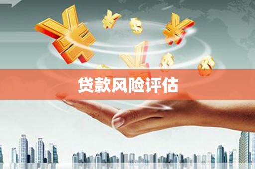 林芝贷款风险评估