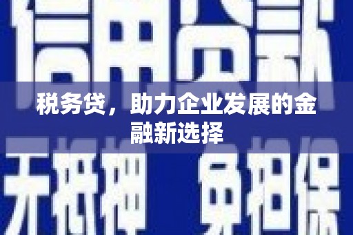 林芝税务贷，助力企业发展的金融新选择