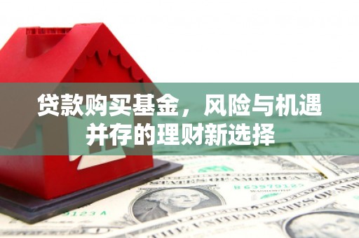 林芝贷款购买基金，风险与机遇并存的理财新选择