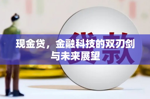 林芝现金贷，金融科技的双刃剑与未来展望
