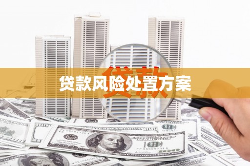 林芝贷款风险处置方案