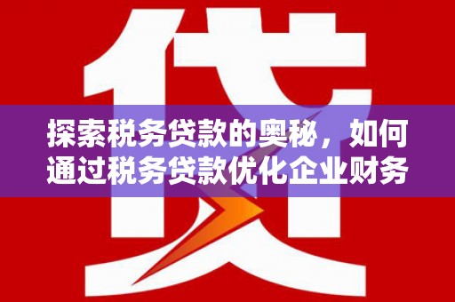 林芝探索税务贷款的奥秘，如何通过税务贷款优化企业财务