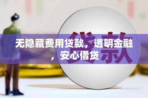 林芝无隐藏费用贷款，透明金融，安心借贷