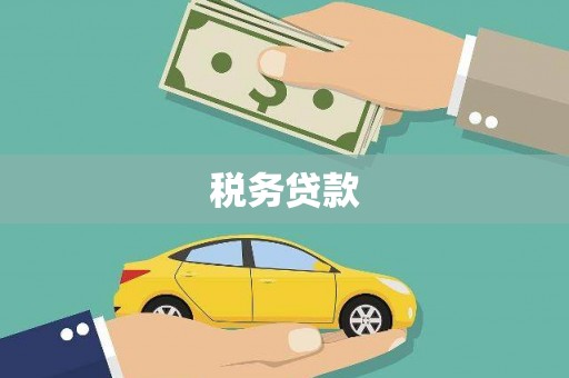 林芝税务贷款