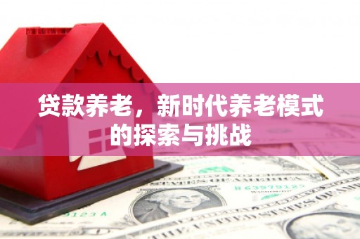 林芝贷款养老，新时代养老模式的探索与挑战