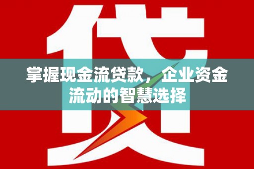 林芝掌握现金流贷款，企业资金流动的智慧选择