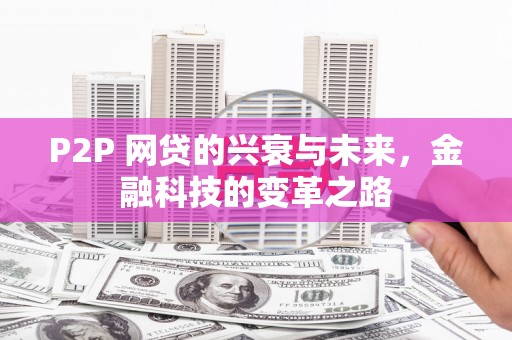 林芝P2P 网贷的兴衰与未来，金融科技的变革之路