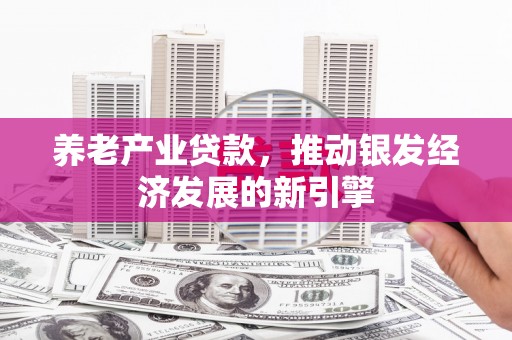 林芝养老产业贷款，推动银发经济发展的新引擎