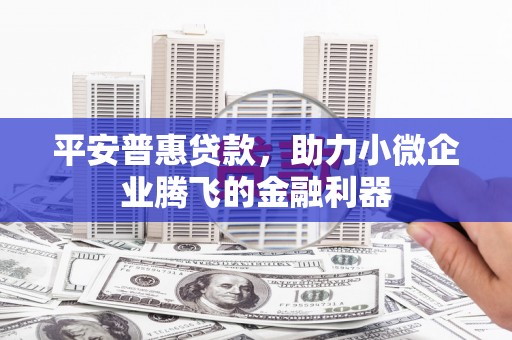 林芝平安普惠贷款，助力小微企业腾飞的金融利器