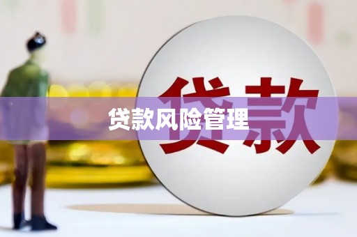 林芝贷款风险管理