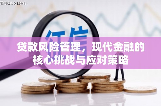 林芝贷款风险管理，现代金融的核心挑战与应对策略