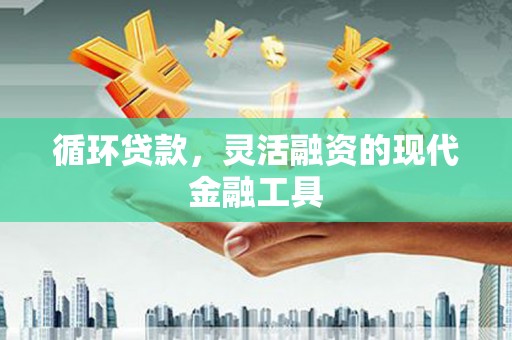 林芝循环贷款，灵活融资的现代金融工具