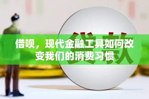 林芝借呗，现代金融工具如何改变我们的消费习惯