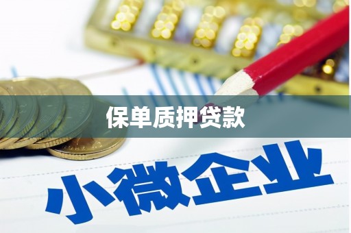 林芝保单质押贷款