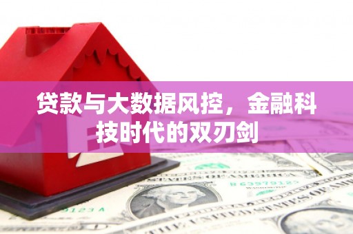 林芝贷款与大数据风控，金融科技时代的双刃剑