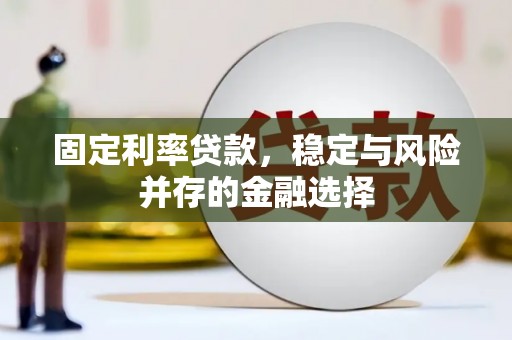 林芝固定利率贷款，稳定与风险并存的金融选择