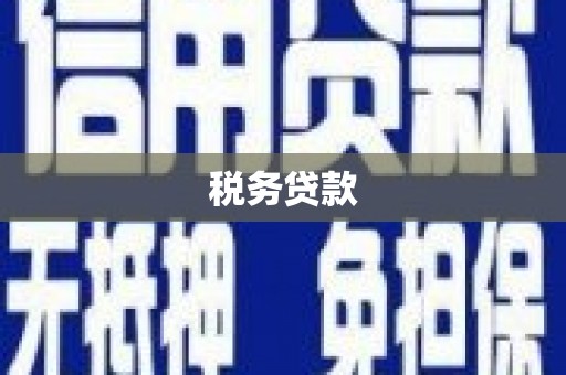 林芝税务贷款